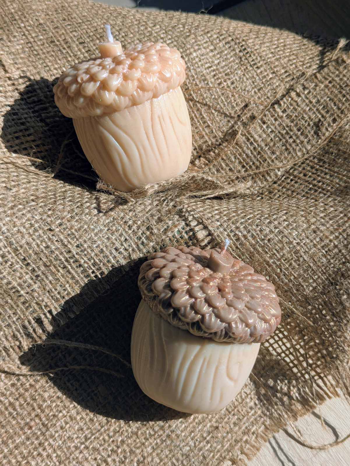 Vue de dessus des bougies gland avec chapeau strié nacré